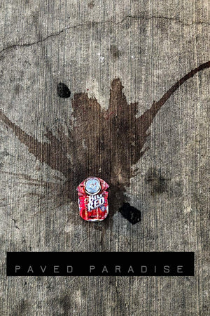 Paved Paradise: a look at what is left behind