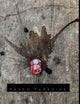 Paved Paradise: a look at what is left behind