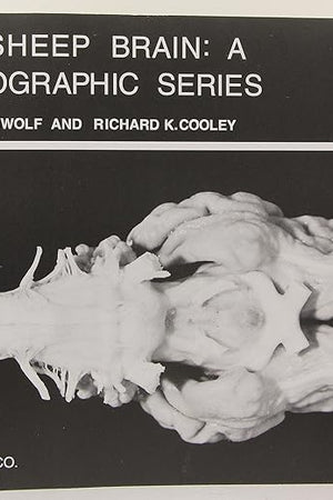 The Sheep Brain: A Photographic Series