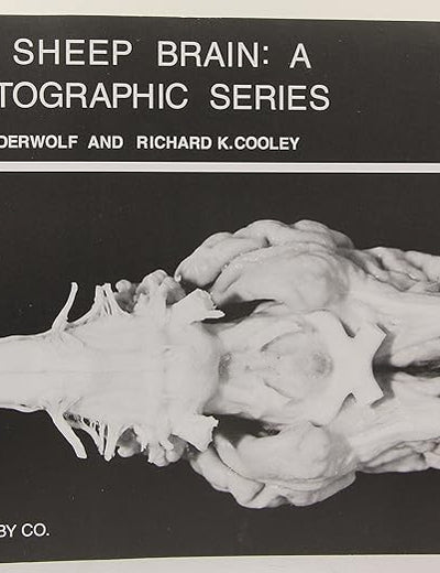 The Sheep Brain: A Photographic Series