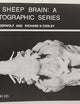 The Sheep Brain: A Photographic Series