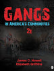 Gangs in America′s Communities