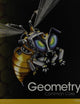 Geometry: Common Core Grade 10