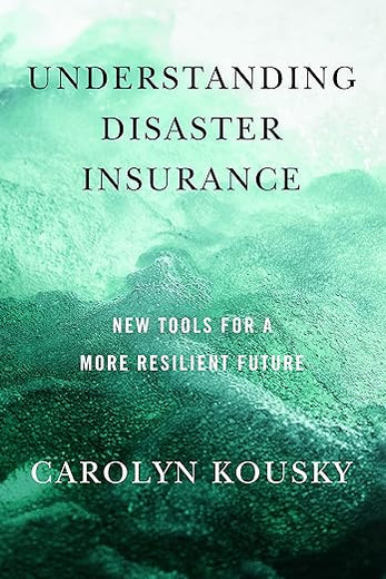 Understanding Disaster Insurance: New Tools for a More Resilient Future