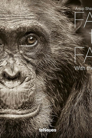 Face to Face: With the Great Apes