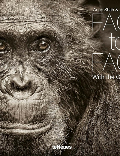 Face to Face: With the Great Apes
