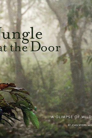 Jungle at the Door: A Glimpse of Wild India