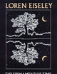 The Firmament of Time